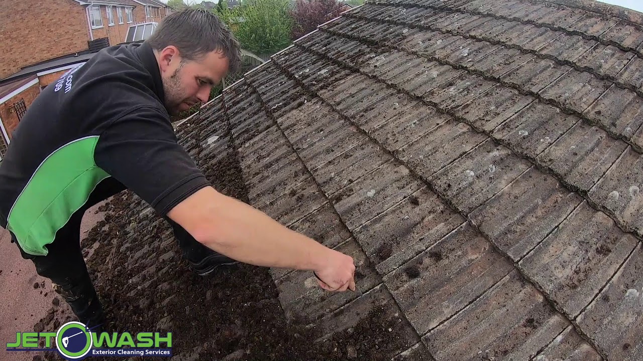Moss Removal